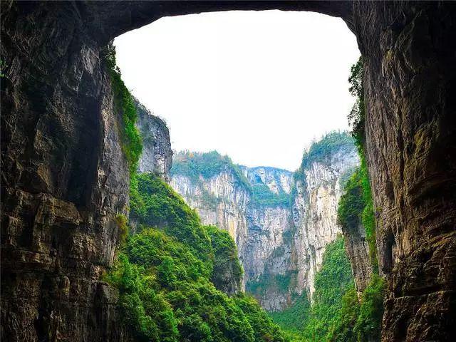 春雨直播app